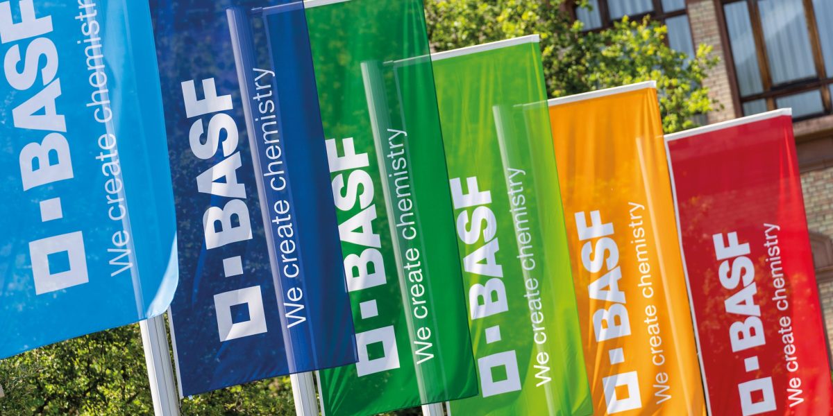 6411_033_BASF_Flags-scaled.jpeg - NewsFactor
