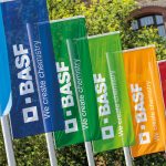 6411_033_BASF_Flags-scaled.jpeg - NewsFactor