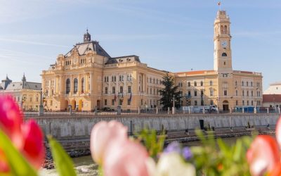 Oradea: Cum transformă consilierii locali posturi de îngrijitori în funcții de inspector