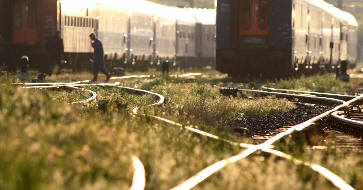 Accident TERIBIL pe ruta București-Constanța: Tren a lovit mortal o femeie