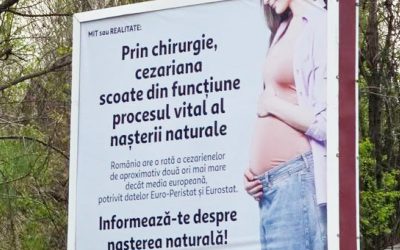 Cynthia Păun, scandal cu panourile: „În 2026, așa ceva?” Cere intervenție de urgență