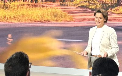 Crizele Politice de la București: România, paralizată energetic