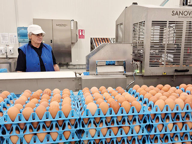 Toneli, gigantul ouălor, pompează 40 mil. Euro în afacere anul acesta