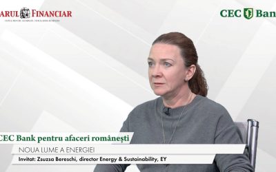 CEC Bank, suport crucial pentru afacerile românești, spune Zsuzsa Bereschi de la EY