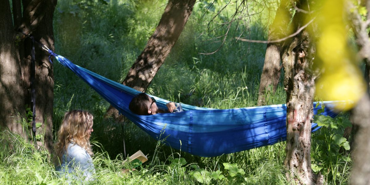 Școala-minune: Elevi câștigă mii de euro la un concurs despre natură