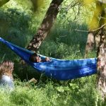 Școala-minune: Elevi câștigă mii de euro la un concurs despre natură