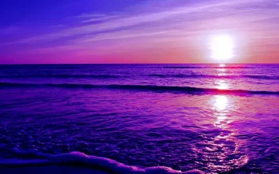 Oceanele lumii, spectacol violet? Cercetătorii fac anunțul șocant