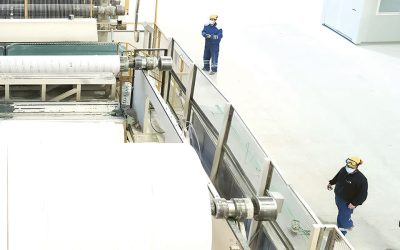 Sofidel, producătorul Regina, investește 10 mil. Euro în România