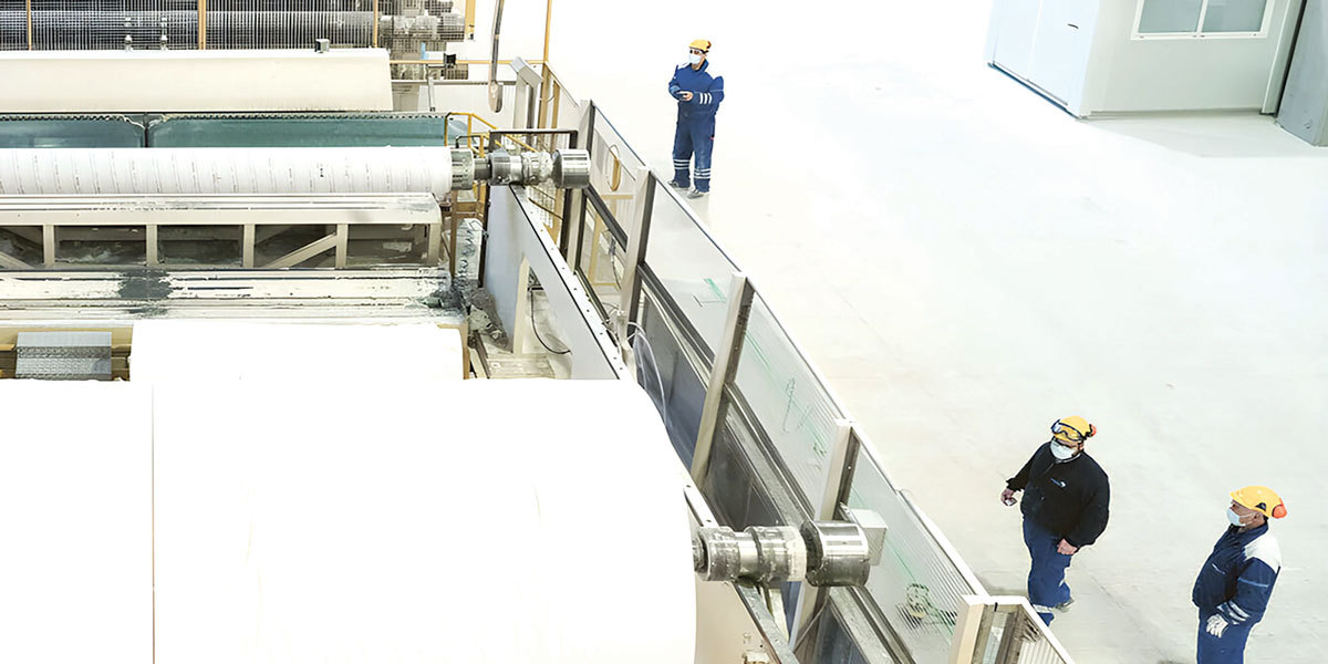 Sofidel, producătorul Regina, investește 10 mil. Euro în România