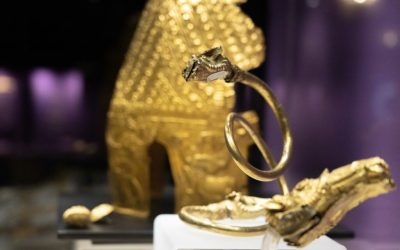 Jaful Tezaurului Dacic: Olanda cere 5,5 ani de închisoare. Mama „tâlharului” șocată