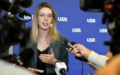 Arborii, protejați de URGENTĂ: Proiect pentru infracționalizarea defrișărilor