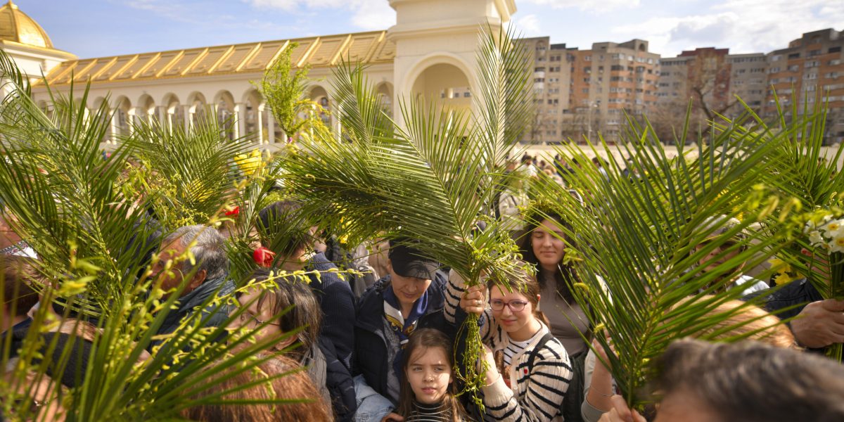 8121446-mediafax_foto-alexandru_dobre-scaled.jpg - NewsFactor