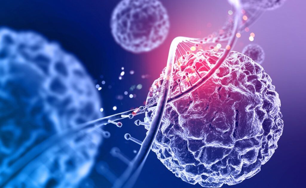 Celule umane necunoscute, descoperite în uter și placentă