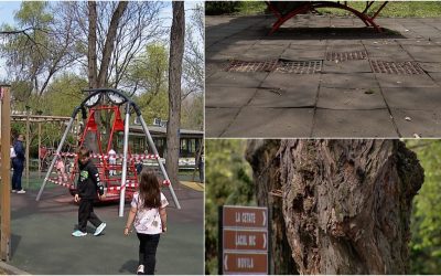 Pericol ascuns în parcurile din București: „Se poate întâmpla oricând rău”