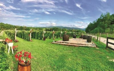 Un hectar moștenit în Gorj, startul unei afaceri de succes