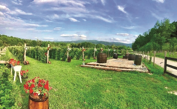 Un hectar moștenit în Gorj, startul unei afaceri de succes