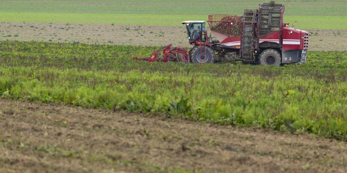 Prognoza ANM pentru agricultură. Condiții bune pentru culturi, dar risc de secetă în unele regiuni
