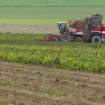 Prognoza ANM pentru agricultură. Condiții bune pentru culturi, dar risc de secetă în unele regiuni