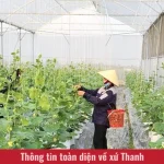 Vietnam.vn - Nền tảng quảng bá Việt Nam
