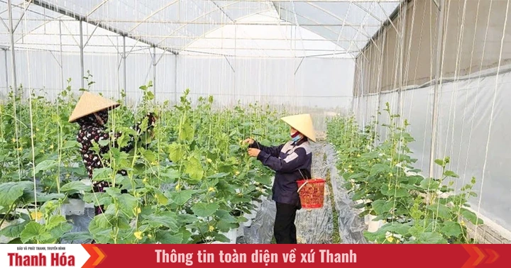 Vietnam.vn - Nền tảng quảng bá Việt Nam