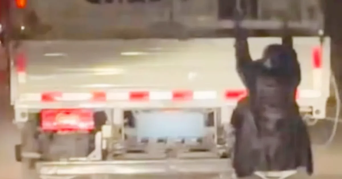 Camionul cu surprize: Polițiștii au dat de un „pasager” neașteptat