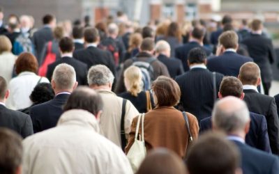 Muncă: Peste 6,6 MILIOANE de contracte înregistrate la finalul lui 2025