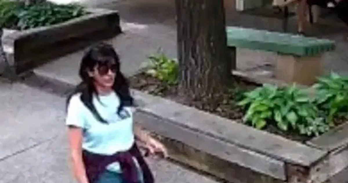 Misterul disparițiilor: Ce au în comun cercetătorii dispăruți în SUA