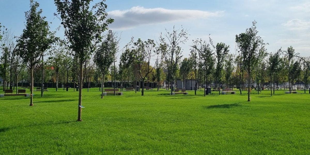 Daniel Băluță a anunțat că noul parc amenajat în Sectorul 4 se va numi „Donald J. Trump” / „20 de minute de negocieri pentru minunatul cadou”