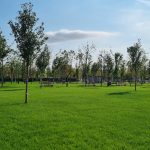 Daniel Băluță a anunțat că noul parc amenajat în Sectorul 4 se va numi „Donald J. Trump” / „20 de minute de negocieri pentru minunatul cadou”