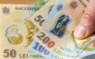 Banca Națională, anchetă amplă despre finanțele românilor: 12.000 gospodării vizate