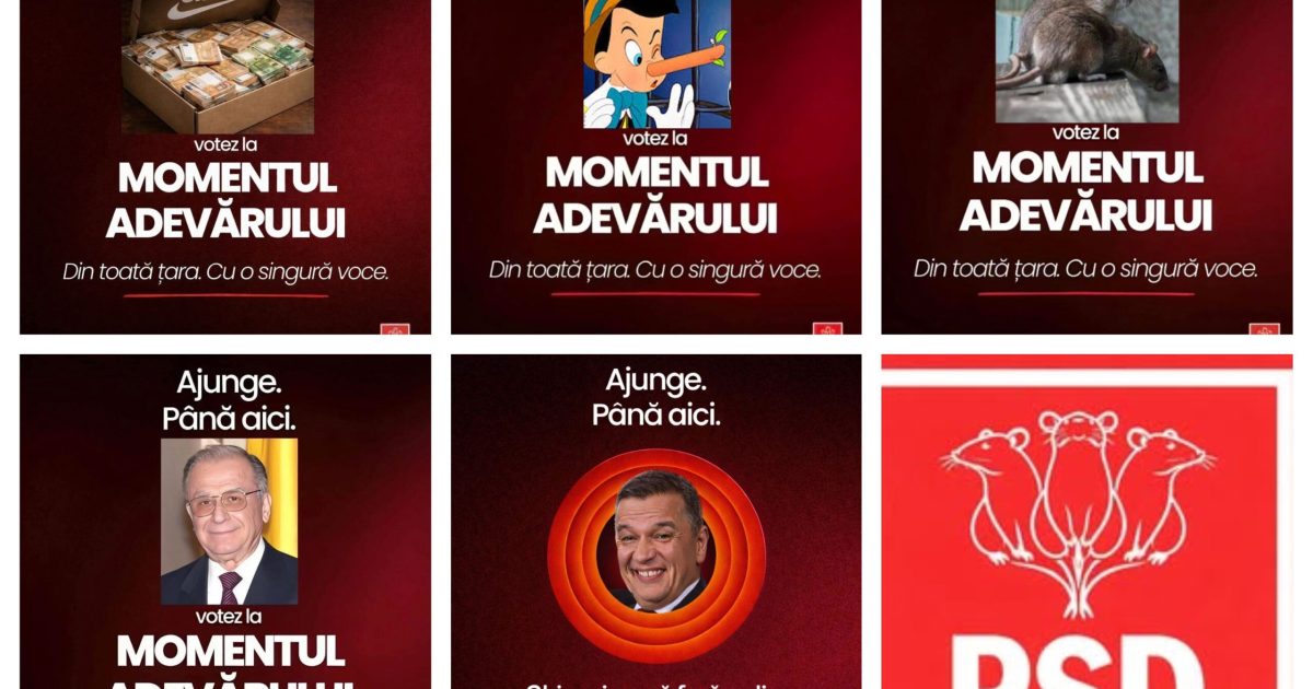 PSD dă Parchetul și CNCD în judecată pentru meme-uri cu șobolani