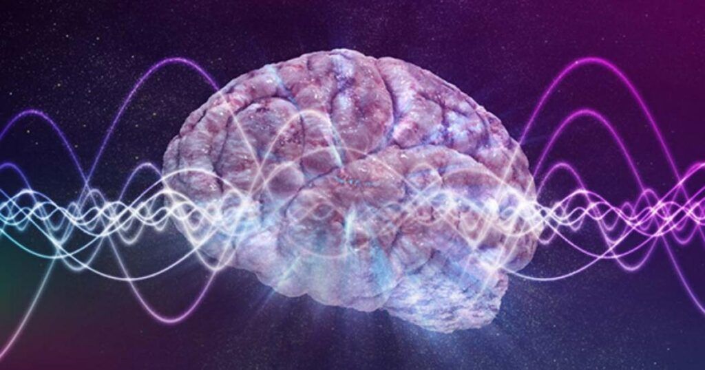 Creierul, nu neuronii: Teoria care zguduie înțelegerea minții umane