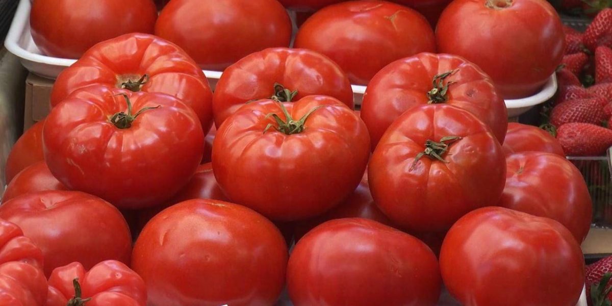 Roșiile românești în 2026: Cât scoate românul din buzunar