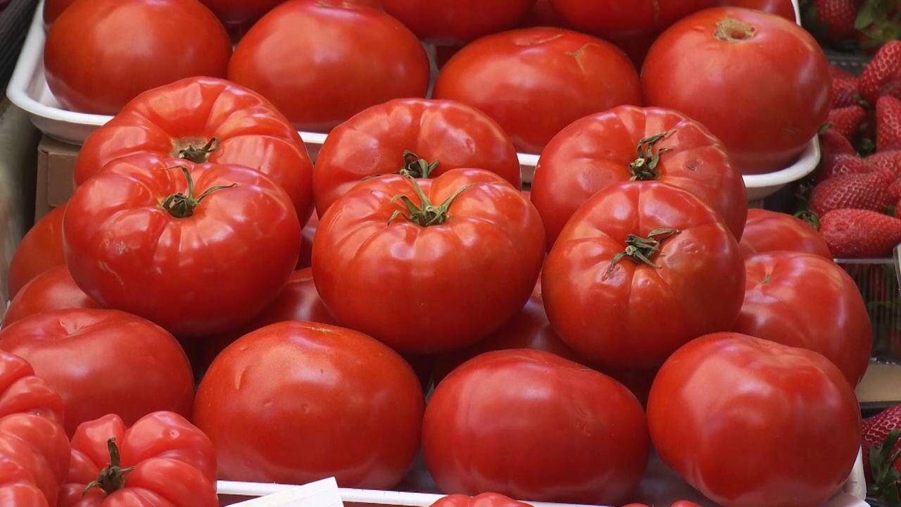 Roșiile românești în 2026: Cât scoate românul din buzunar