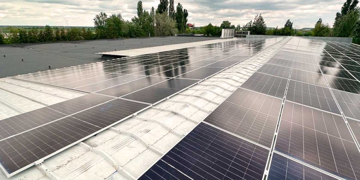 Comunicat-green-volt.jpg - NewsFactor