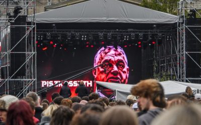 Lebedele Negre lovesc Ungaria: Cine sunt surprizele scrutinului