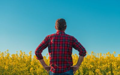 Manosphere, pericol pentru bărbați: Politicieni din Marea Britanie cer măsuri