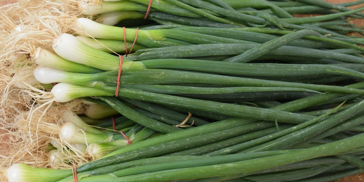 Cum-sa-cresti-ceapa-verde-in-pahar-fara-pamant-si-fara-efort.jpg - NewsFactor