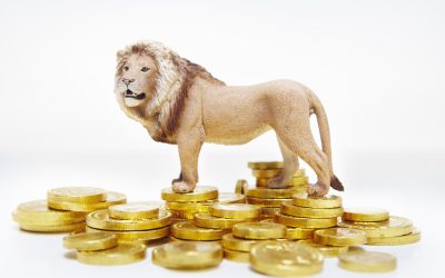 Curs BNR: Euro urcă vertiginos, atinge noi maxime în fața leului