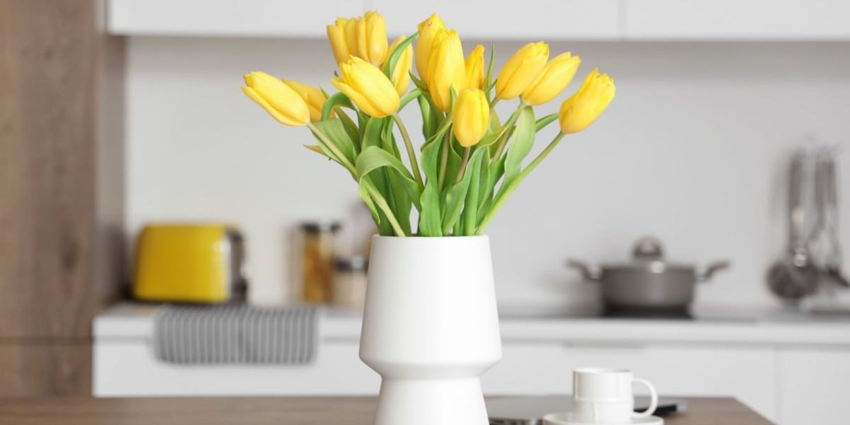 Diferența majoră, vizibilă curând: Ce ne așteaptă în următoarele săptămâni