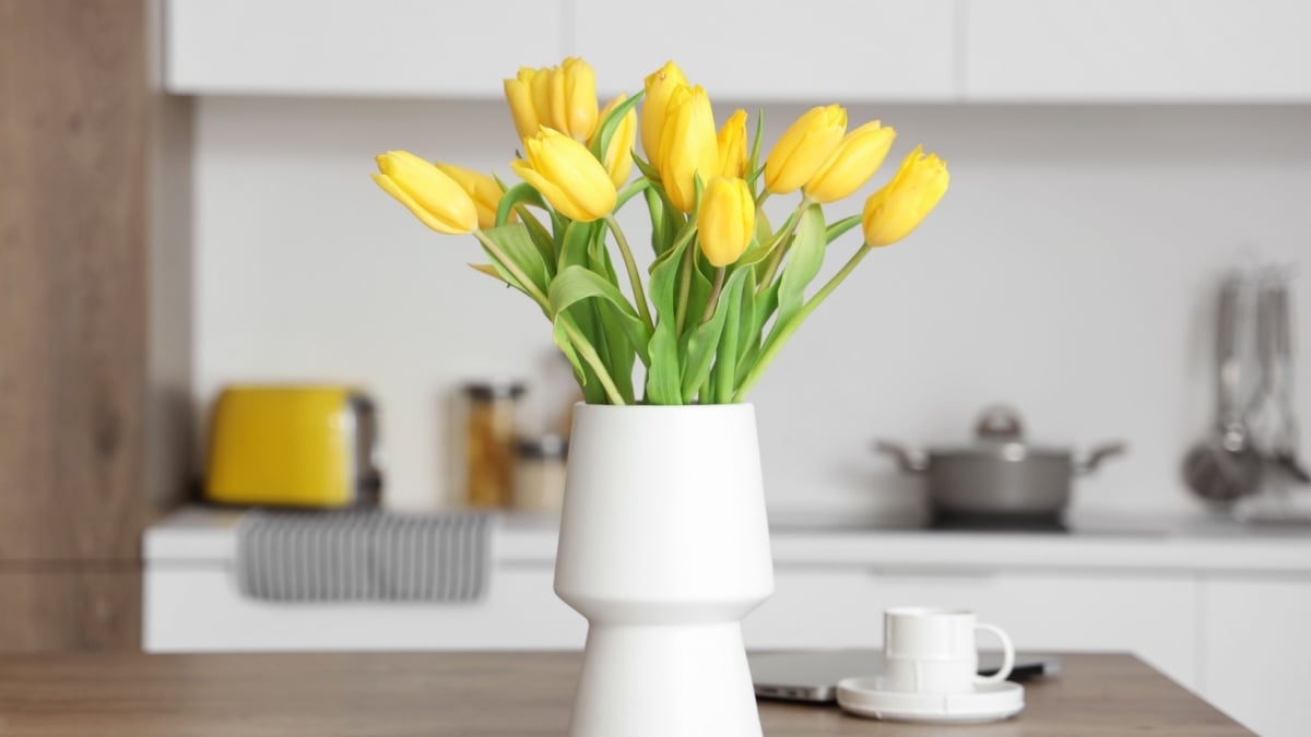 Plante mai verzi și mai sănătoase cu un truc simplu: cuie în ghiveci Grădinarii din întreaga țară încearcă o metodă inedită pentru a oferi plantelor un impuls de creștere: introducerea cuielor în ghivece