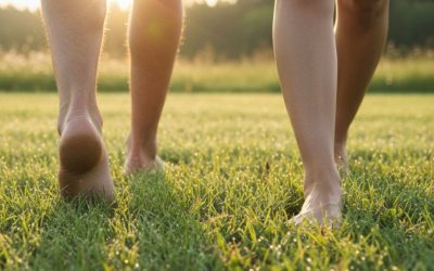 Primăvara, inamicul ascuns: Pericolul unei banale plimbări!