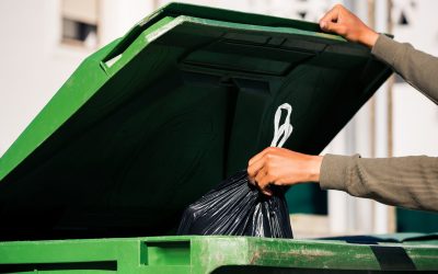 România interzice importul! Garda de Mediu anunță măsuri drastice