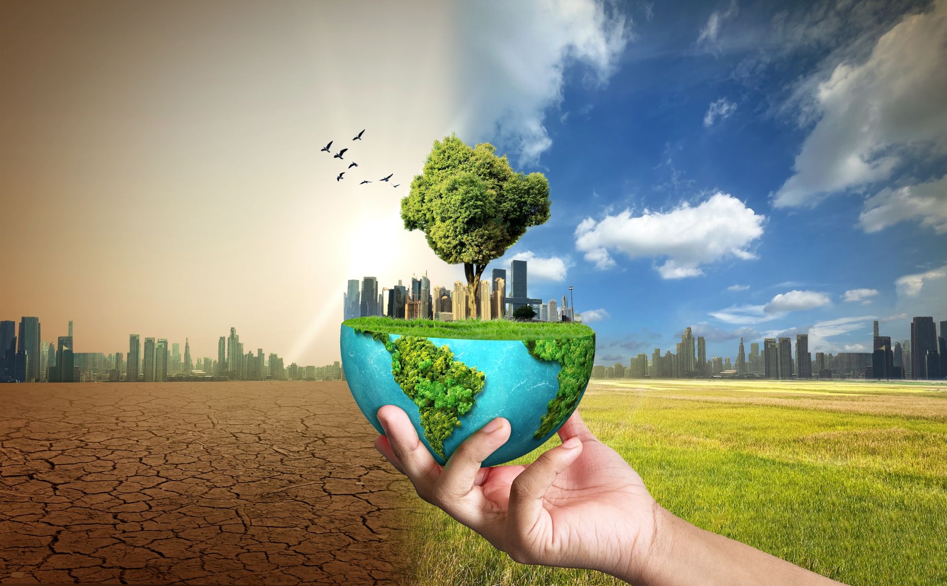 Efectele schimbărilor climatice, resimțite de-a lungul generațiilor, ar putea accelera evoluția animalelor