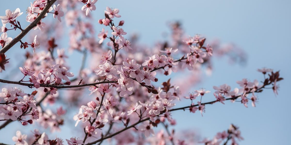 FB1A7256.jpg - NewsFactor