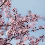 FB1A7256.jpg - NewsFactor