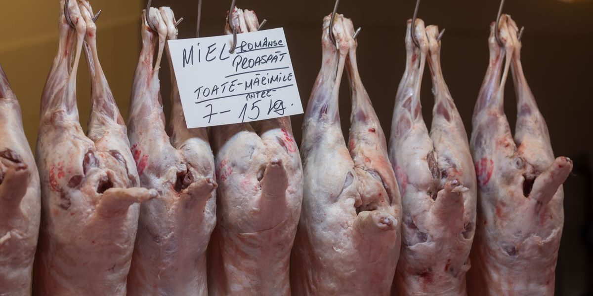 FB1A8606.jpg - NewsFactor