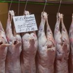 FB1A8606.jpg - NewsFactor