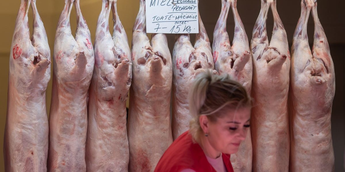 FB1A8623.jpg - NewsFactor