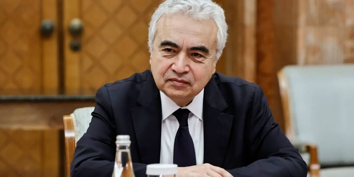 Criza energetică: Aie avertizează asupra unui impact „dramatic”